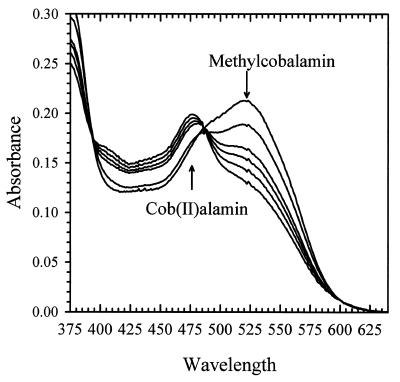 FIG. 6