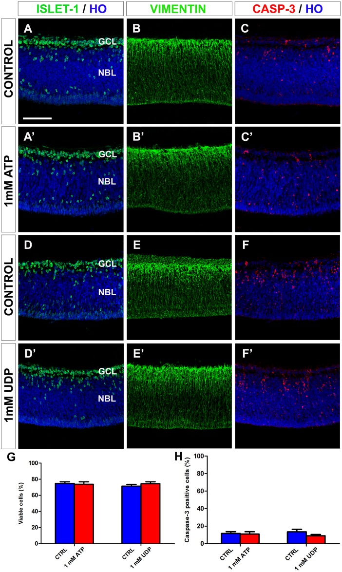 Fig 13