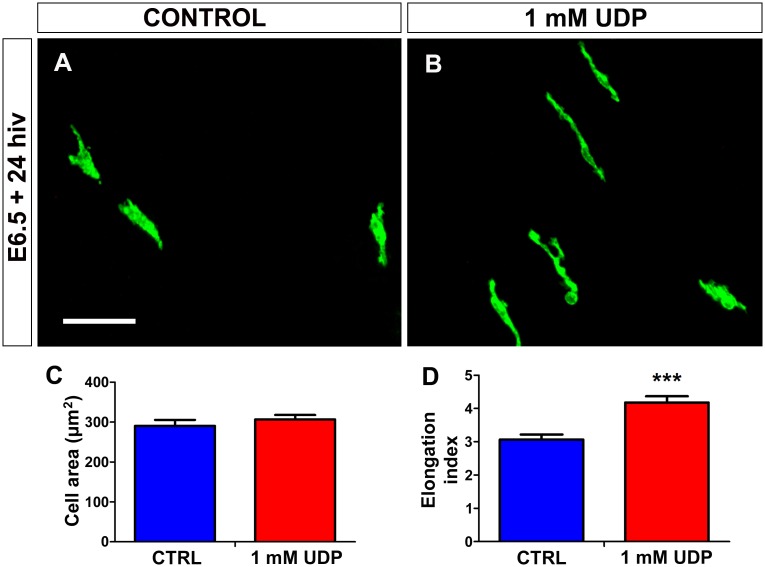 Fig 12