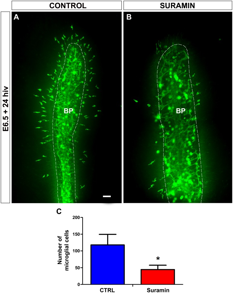 Fig 6