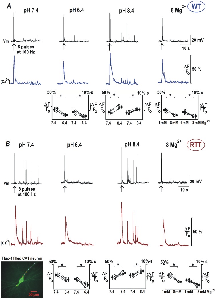 Fig 6