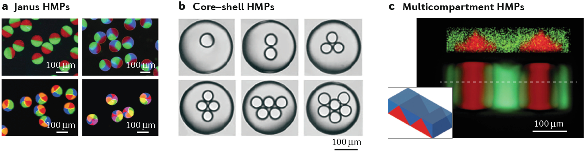 Fig. 3 |