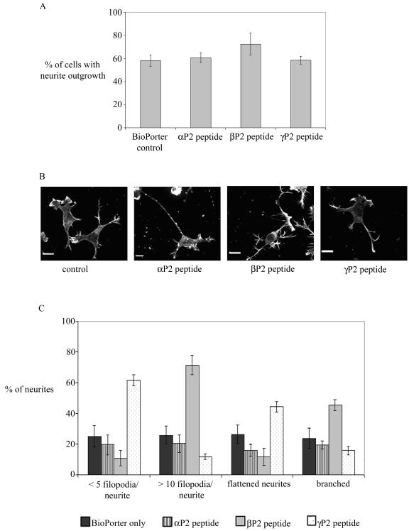 FIG. 8.