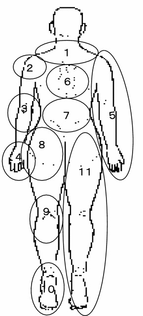 Fig. 1