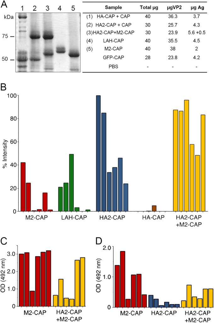 FIG 6