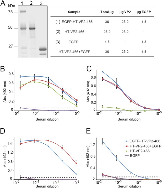 FIG 4