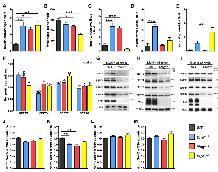 Figure 1—figure supplement 1.