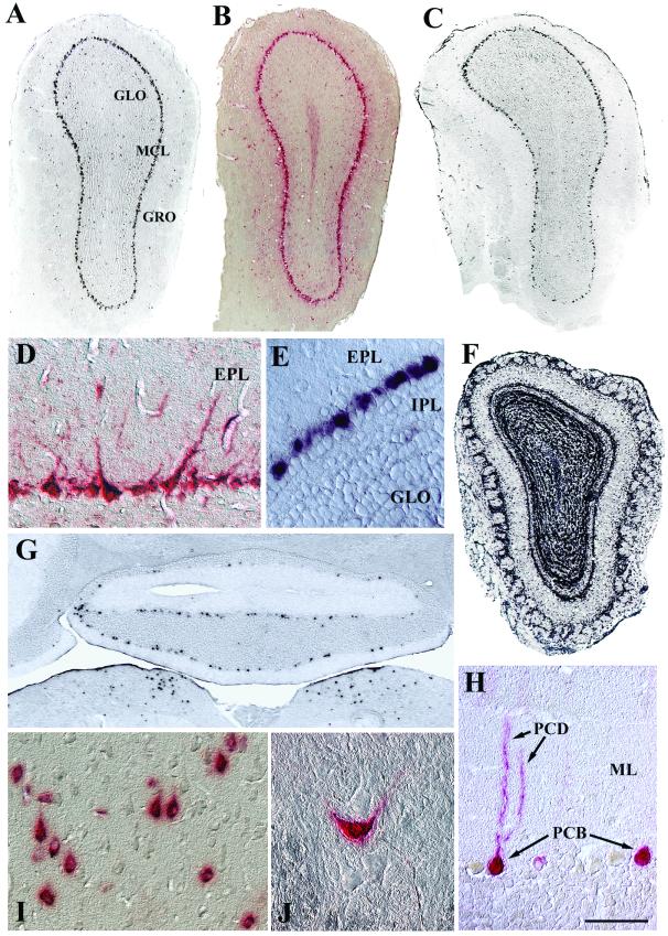 FIG. 5