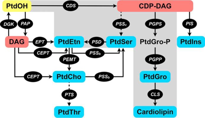 Figure 1.