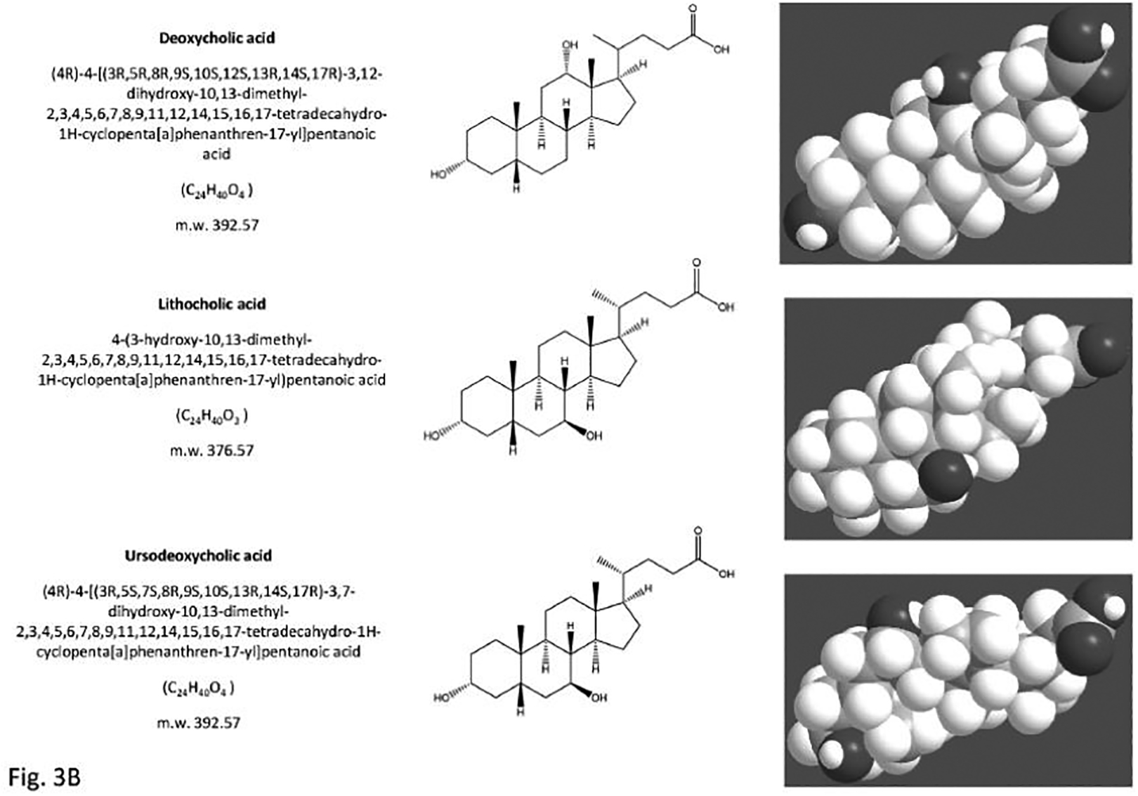 Fig. (3).