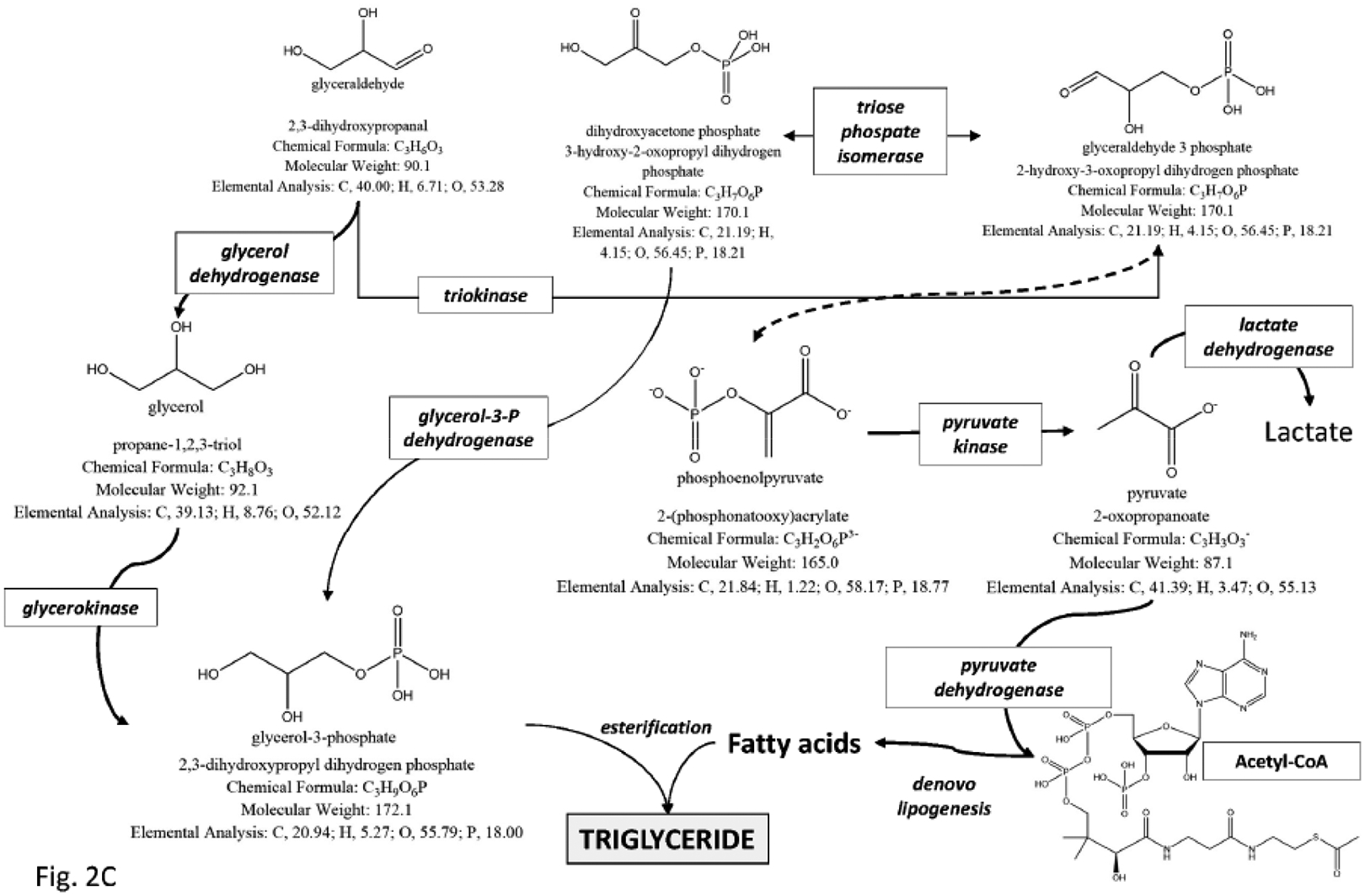 Fig. (2).