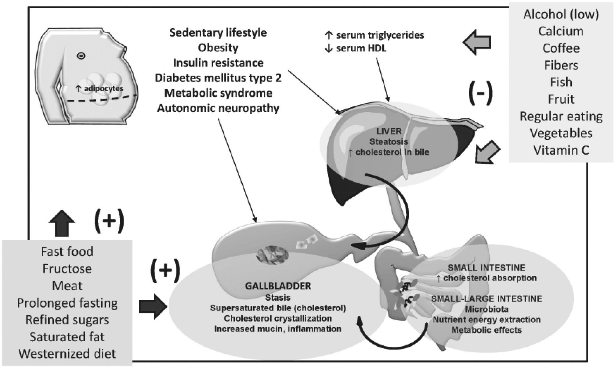 Fig. (6).