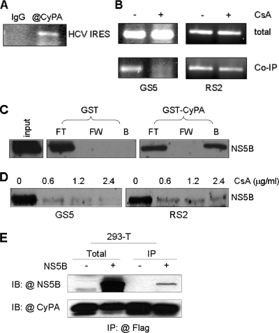 FIG. 6.