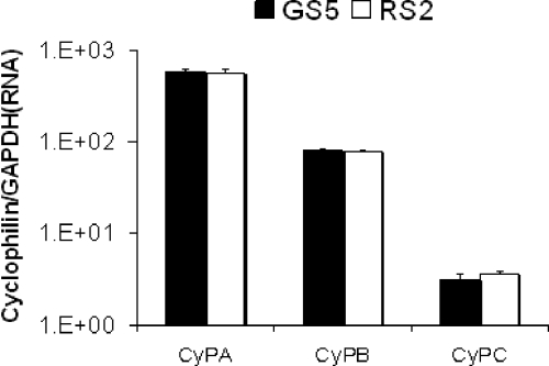 FIG. 7.