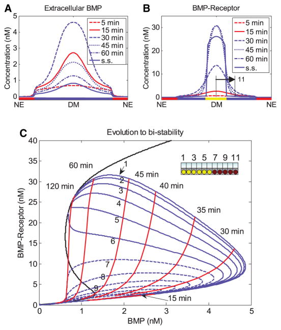 Fig. 4