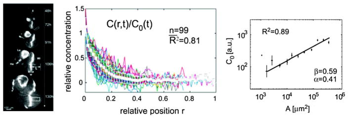 Fig. 9