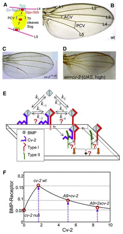 Fig. 12