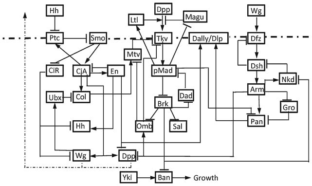 Fig. 8