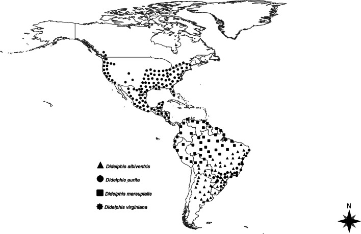 Fig. 2