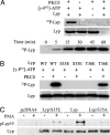 Fig. 4.