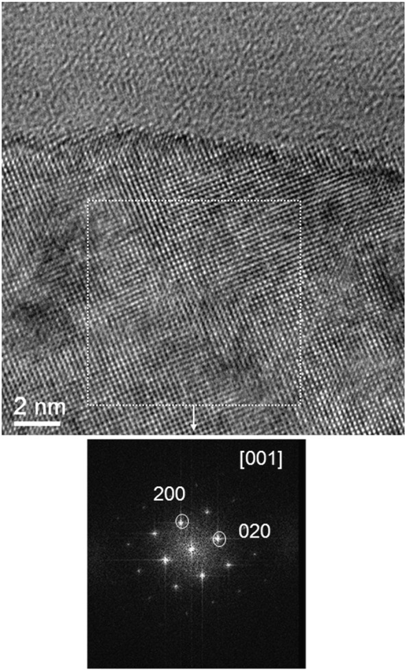 Fig. 12