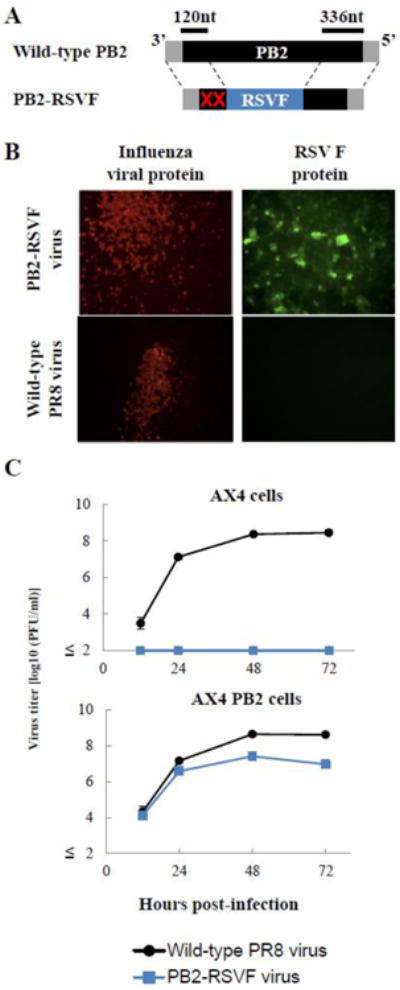 Fig. 2