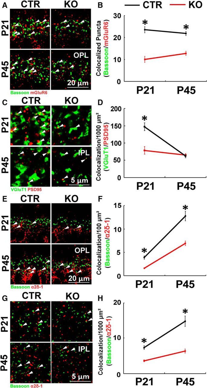 Figure 13.