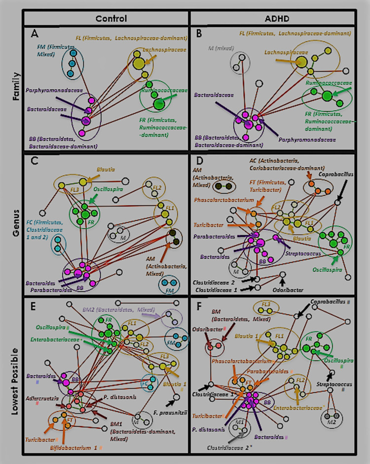 Fig 10