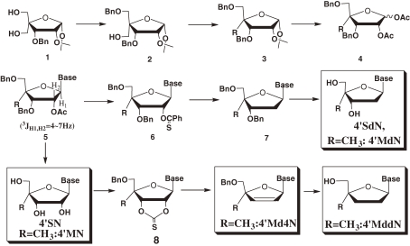 Scheme 1. 