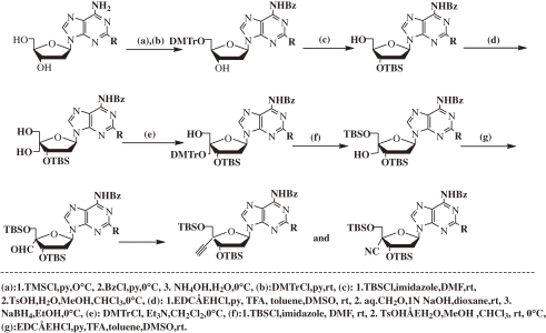 Scheme 2. 