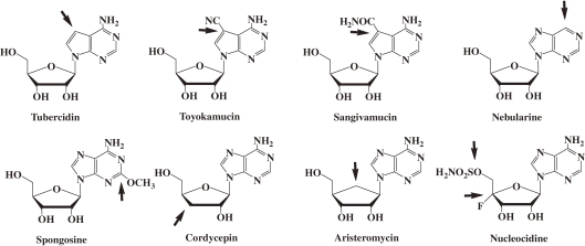 Figure 3. 