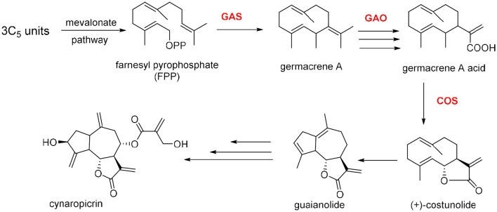 Figure 5