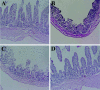 FIG. 5.