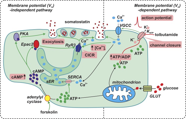 Figure 15.