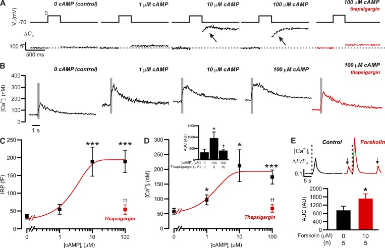 Figure 7.