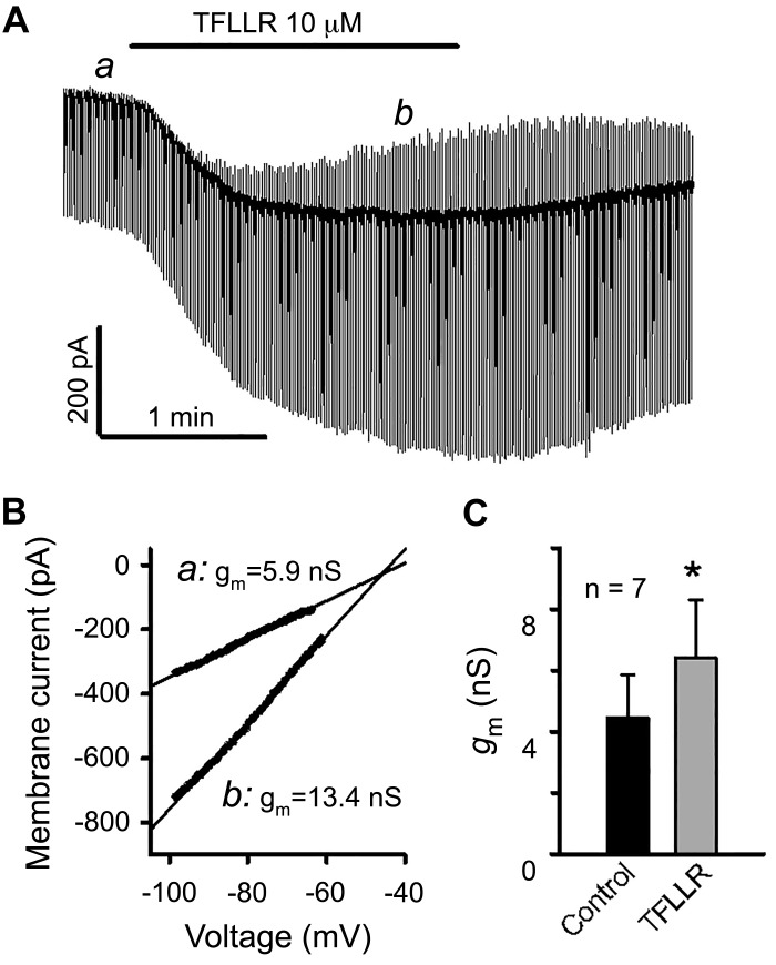 Fig. 4.