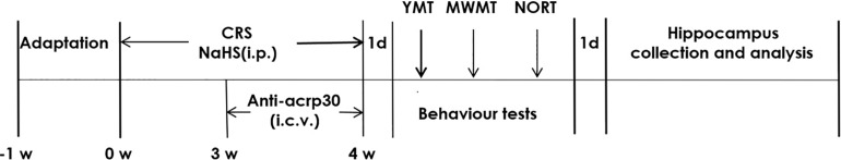 FIGURE 1