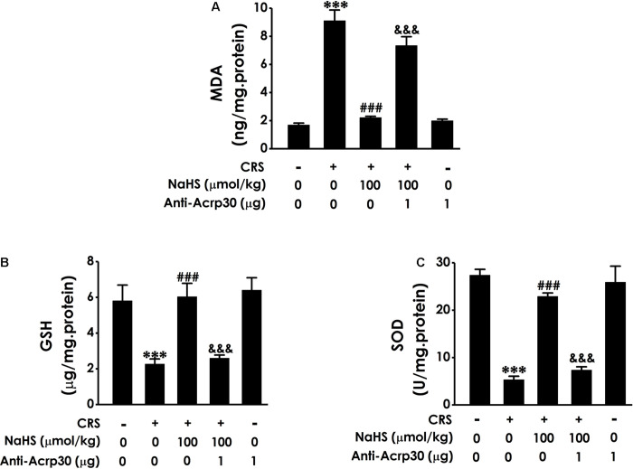 FIGURE 6