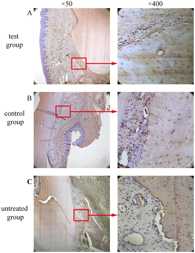 Figure 12.