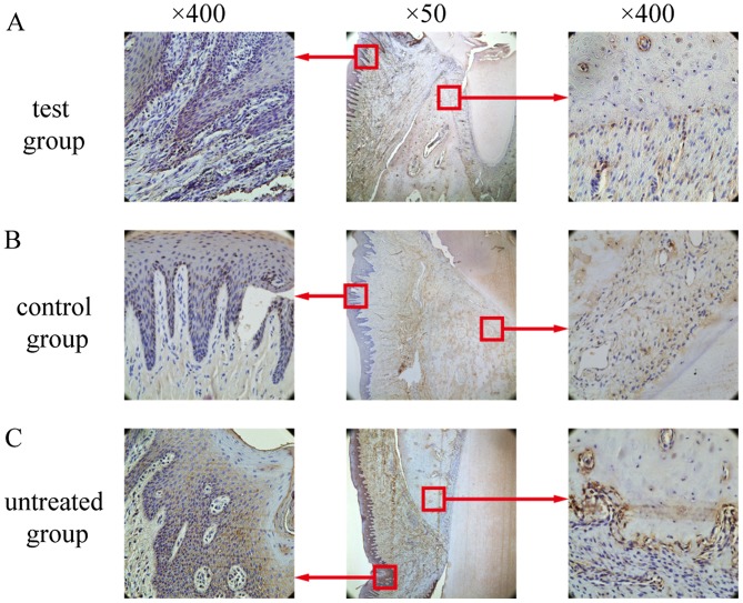 Figure 11.