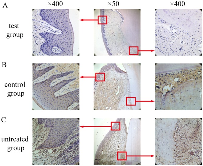 Figure 9.