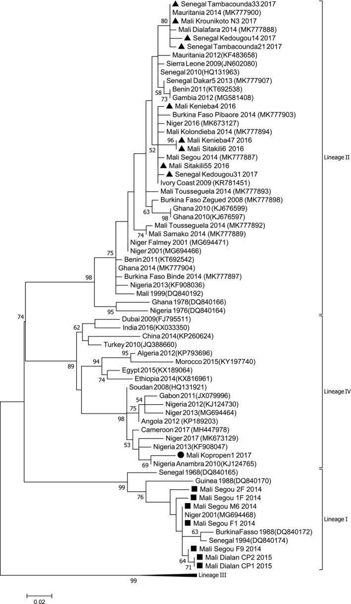 FIGURE 2