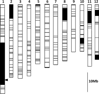 Fig. 1