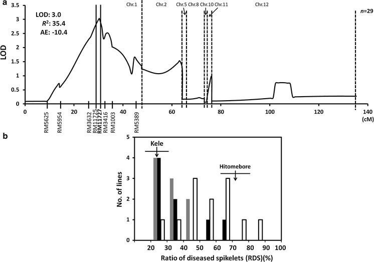 Fig. 2