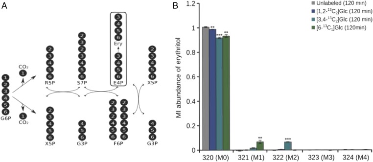 Fig. 3.