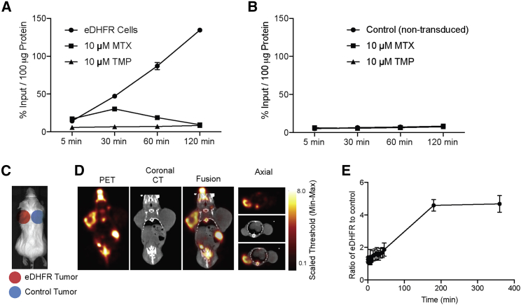 Figure 2