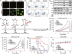 Fig. 10