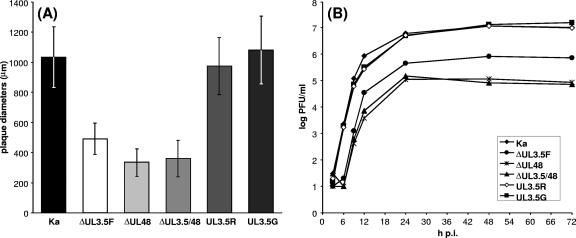 FIG. 5.