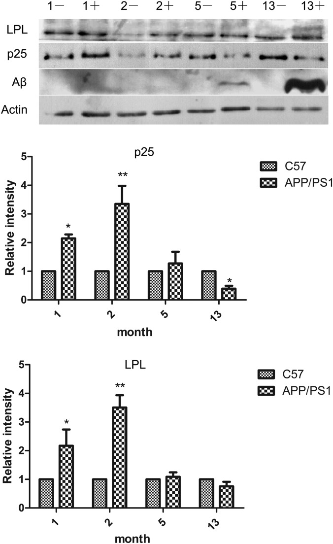 Fig. 7.