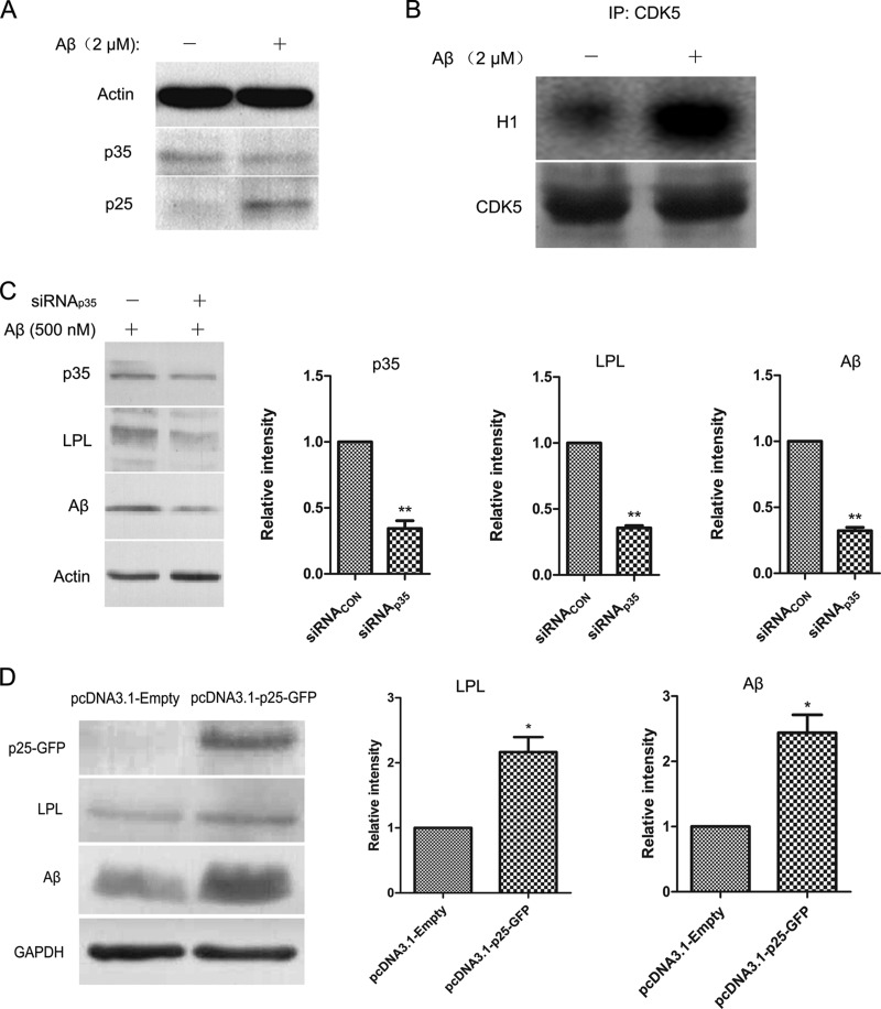 Fig. 6.